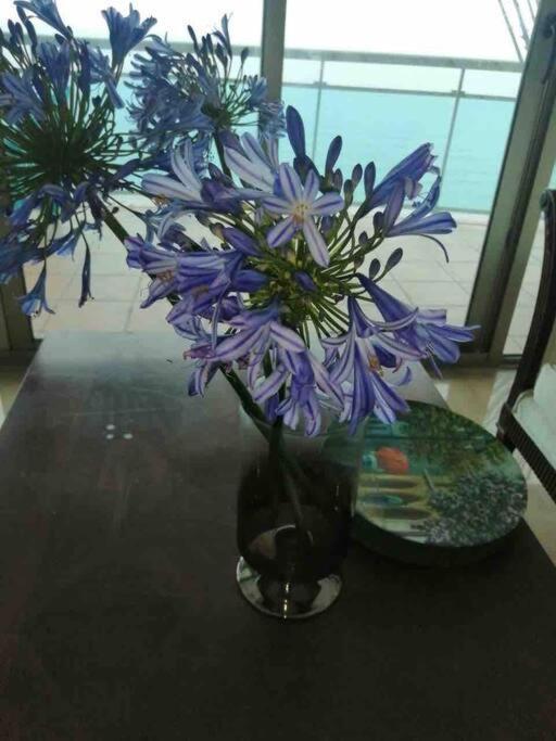 Malecon Vista Mar Habitacion Privada Larimar, 聖多明哥 外观 照片